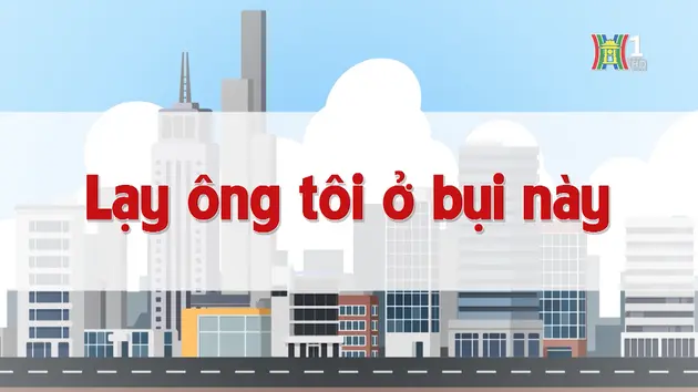 Lạy ông tôi ở bụi này | Chuyện quanh ta | 14/11/2024