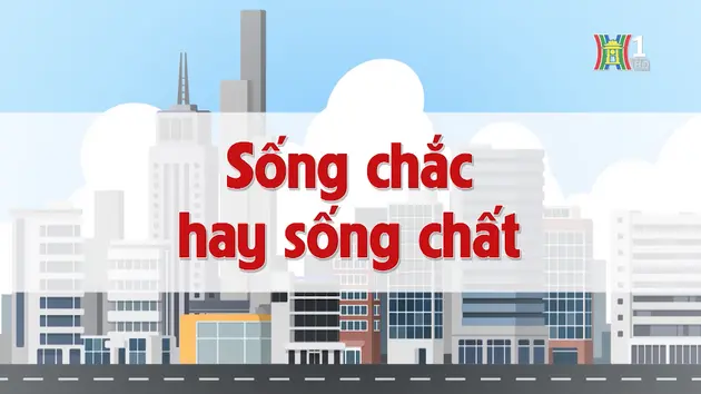 Sống chắc hay sống chất | Chuyện quanh ta | 16/11/2024