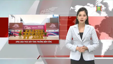 APEC 2024 - thúc đẩy tăng trưởng bền vững | Nhìn ra thế giới | 16/11/2024