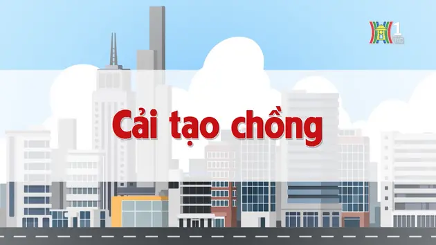 Cải tạo chồng | Chuyện quanh ta | 16/11/2024