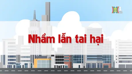 Nhầm lẫn tai hại | Chuyện quanh ta | 20/11/2024