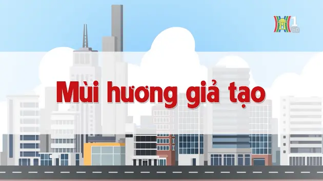 Mùi hương giả tạo | Chuyện quanh ta | 21/11/2024