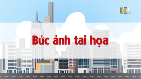 Bức ảnh tai họa | Chuyện quanh ta | 23/11/2024