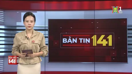 Bản tin 141 | 26/11/2024