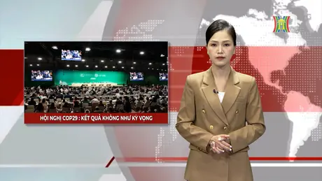 Hội nghị COP29: Kết quả không như kỳ vọng | Nhìn ra thế giới | 26/11/2024