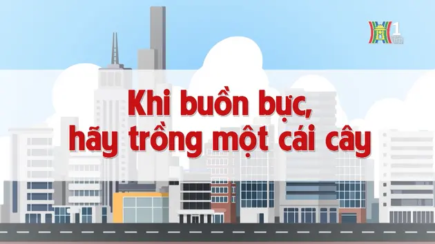 Khi buồn bực, hãy trồng một cái cây | Chuyện quanh ta | 29/11/2024