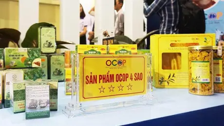 Đảm bảo an toàn thực phẩm từ sản phẩm OCOP | Nhận biết an toàn thực phẩm | 01/12/2024