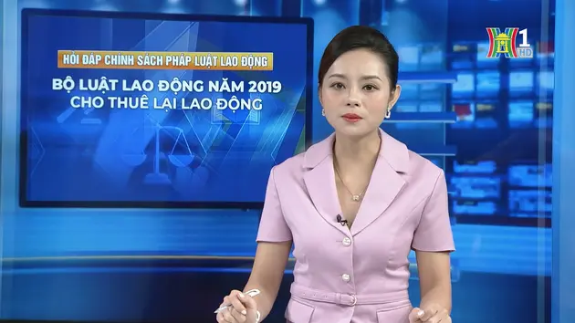 Bộ luật Lao động năm 2019: Cho thuê lại lao động | Tọa đàm | 01/12/2024