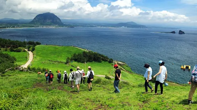 Thông tin về việc 38 người Việt ‘mất tích’ ở đảo Jeju
