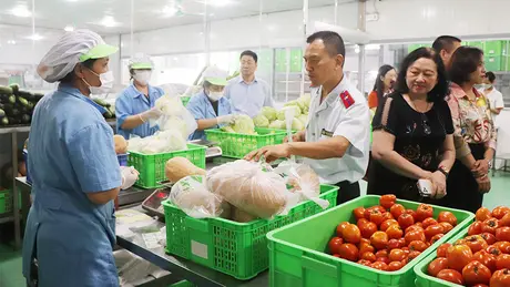 Hà Nội phân rõ trách nhiệm quản lý an toàn thực phẩm