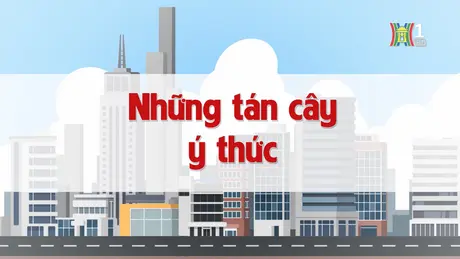 Những tán cây ý thức | Chuyện quanh ta | 06/12/2024