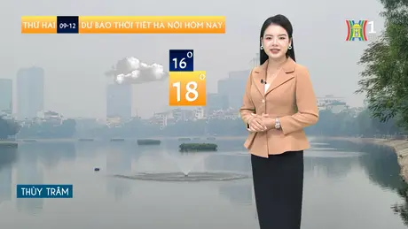 Dự báo thời tiết trưa | 09/12/2024