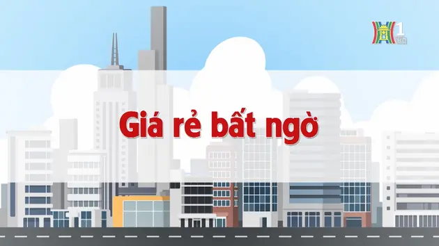 Giá rẻ bất ngờ | Chuyện quanh ta | 10/12/2024