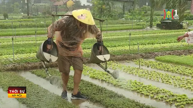Đài Hà Nội
