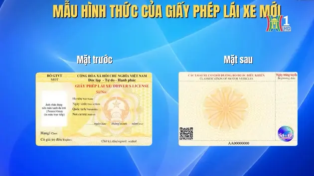 Hai mẫu giấy phép lái xe từ năm 2025 và 2026