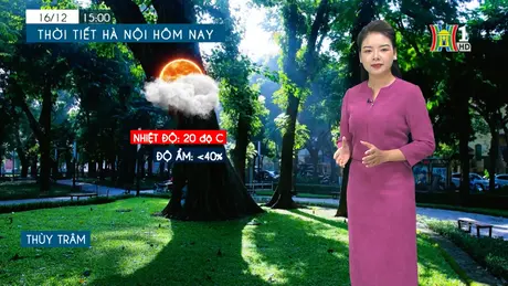 Dự báo thời tiết chiều | 16/12/2024