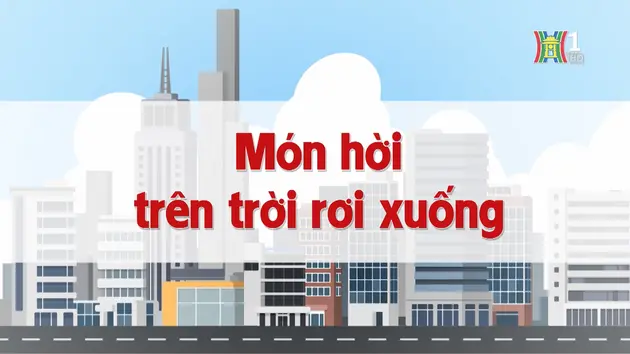 Món hời trên trời rơi xuống | Chuyện quanh ta | 18/12/2024