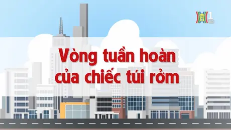 Vòng tuần hoàn của chiếc túi rởm | Chuyện quanh ta | 18/12/2024