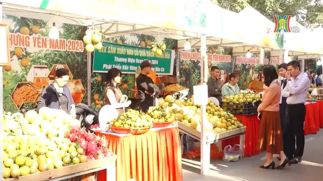 Trái ngọt các vùng miền | Trăm miền hội tụ | 20/12/2024