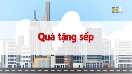 Quà tặng sếp | Chuyện quanh ta | 24/12/2024