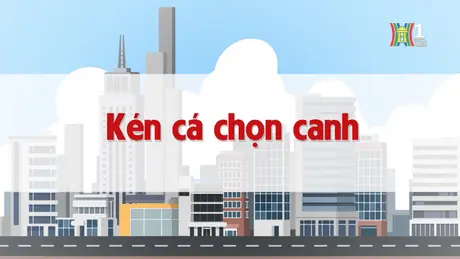 Kén cá chọn canh | Chuyện quanh ta | 24/12/2024