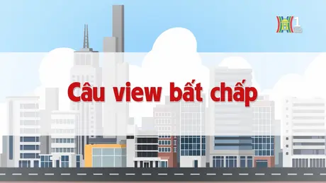 Câu view bất chấp | Chuyện quanh ta | 24/12/2024