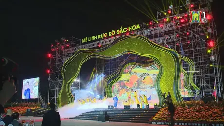 Festival hoa Mê Linh: Bản hoà ca của sắc màu