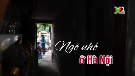 Ngõ nhỏ ở Hà Nội | Người Hà Nội | 29/12/2024