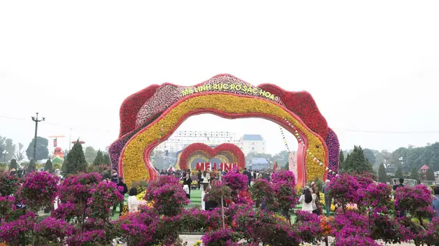 Festival hoa Mê Linh kéo dài đến hết Tết Dương lịch