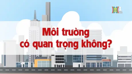 Môi trường có quan trọng không? | Chuyện quanh ta | 30/12/2024