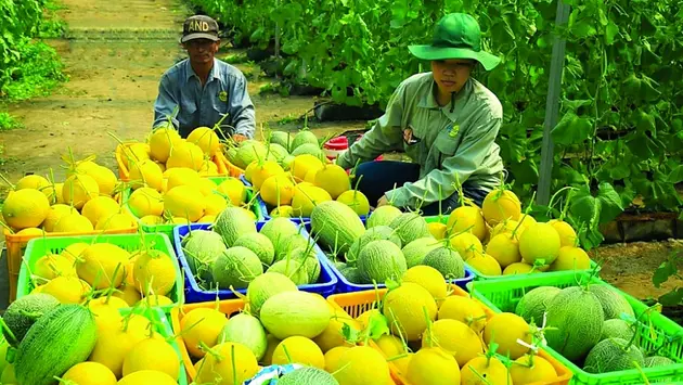 Nông sản Việt có mặt ở 200 quốc gia, vùng lãnh thổ