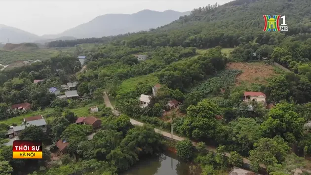 Đài Hà Nội