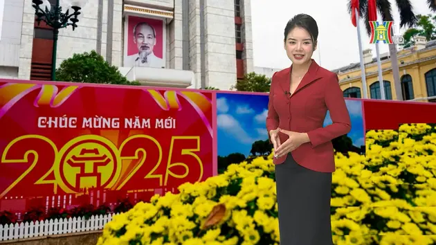 Đất trúng đấu giá tại Sóc Sơn cao nhất 120 triệu đồng/m²