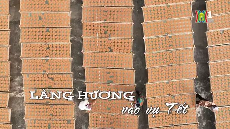 Làng hương vào vụ Tết | Nhịp sống Hà Nội | 03/01/2025