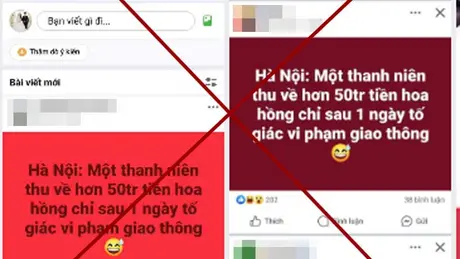 Bác tin thu về 50 triệu đồng/ngày do tố giác vi phạm