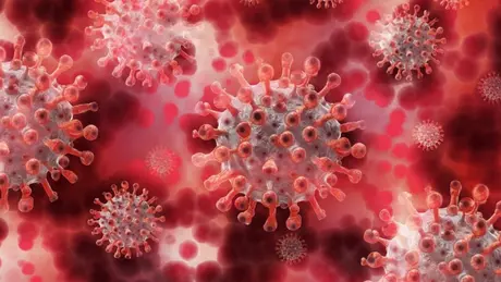 Kazakhstan ghi nhận hàng chục ca nhiễm virus HMPV