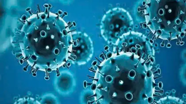 Không nên quá lo ngại virus HPMV tại Trung Quốc