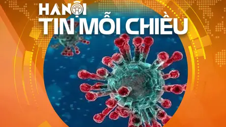 Không lơ là với virus gây viêm phổi | Hà Nội tin mỗi chiều