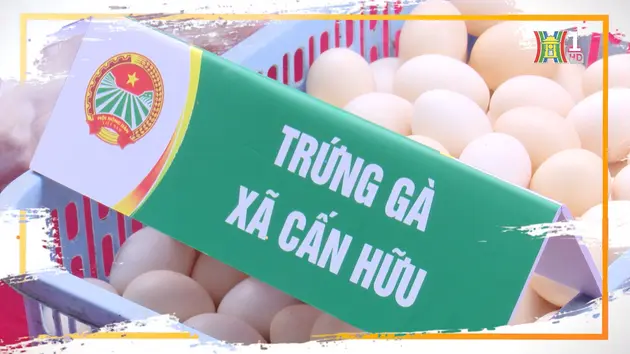 Nông dân tất bật phục vụ thị trường Tết | Nông nghiệp Nông thôn | 16/01/2025