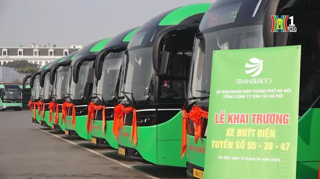 Transerco khai trương 3 tuyến xe buýt điện