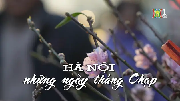 Đài Hà Nội