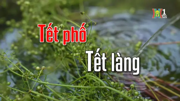 Tết phố Tết làng | Người Hà Nội | 26/01/2025