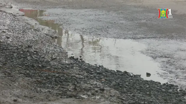 Ngày hội hướng nghiệp năm 2024