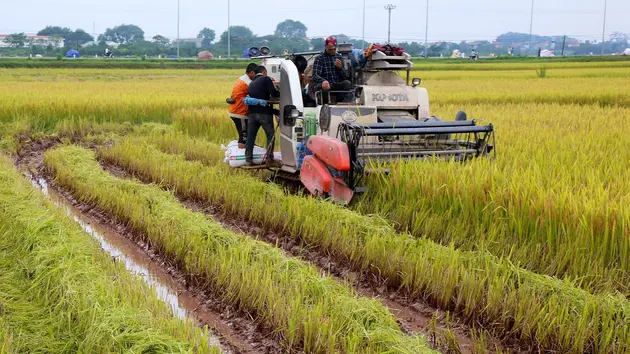 Động lực làm giàu từ nông thôn mới | Nông nghiệp Nông thôn | 20/02/2025