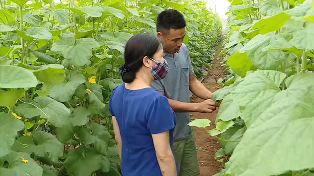 Kinh tế xanh trong nông nghiệp | Chuyển đổi xanh | 29/03/2025