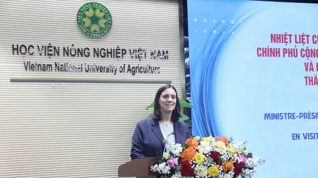Đài Hà Nội