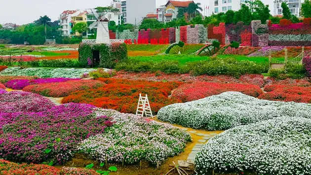 Thêm sắc màu cho phố | Vườn đô thị | 13/04/2025