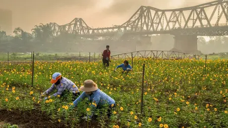 Phường Hồng Hà: Điểm nhấn khu đô thị sông Hồng