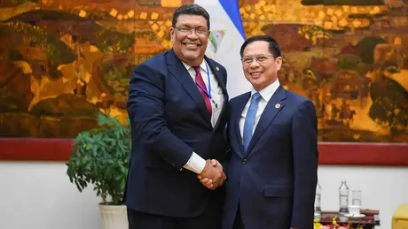 Phó Thủ tướng Bùi Thanh Sơn tiếp Bộ trưởng Ngoại giao Nicaragua