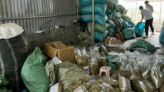 Tìm bị hại của đường dây bán thuốc sinh lý giả
